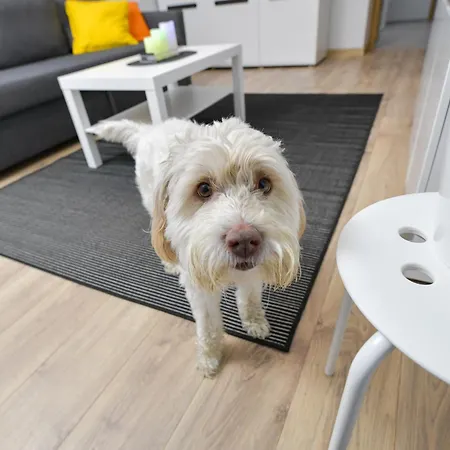 Jj Energylandia Apartman